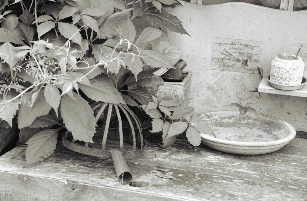 Schale auf einem Tisch